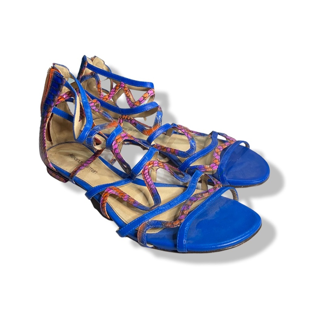 Alexandrea Birman flat sandals